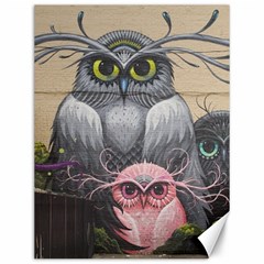 Graffiti Owl Design Canvas 12  x 16 