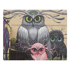 Graffiti Owl Design Two Sides Premium Plush Fleece Blanket (Large)