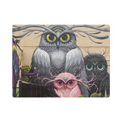 Graffiti Owl Design Premium Plush Fleece Blanket (Mini)