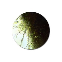 Branch Plant Shrub Green Natural Magnet 3  (round) by Grandong