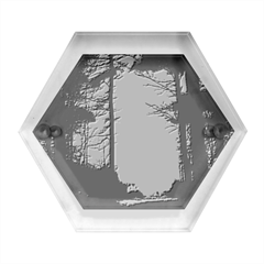 Moonlit A Forest At Night With A Full Moon Hexagon Wood Jewelry Box by Proyonanggan