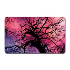 Trees Silhouette Sky Clouds Sunset Magnet (rectangular)