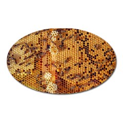 Bees Nature Animals Honeycomb Oval Magnet by pakminggu