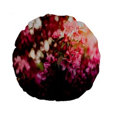 Pink Flower Standard 15  Premium Round Cushions by artworkshop