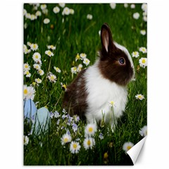 Rabbit Canvas 36  X 48  by artworkshop