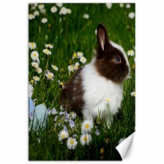 Rabbit Canvas 20  X 30  by artworkshop