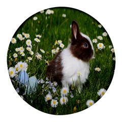 Rabbit Round Glass Fridge Magnet (4 Pack) by artworkshop