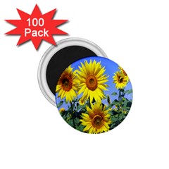 Sunflower Gift 1 75  Magnets (100 Pack)  by artworkshop