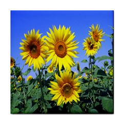 Sunflower Gift Face Towel by artworkshop