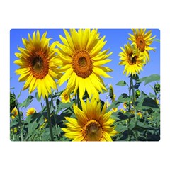 Sunflower Gift Two Sides Premium Plush Fleece Blanket (mini) by artworkshop