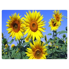 Sunflower Gift Two Sides Premium Plush Fleece Blanket (extra Small) by artworkshop