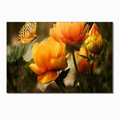 Yellow Butterfly Flower Postcards 5  X 7  (pkg Of 10) by artworkshop