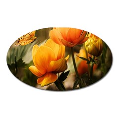 Yellow Butterfly Flower Oval Magnet by artworkshop