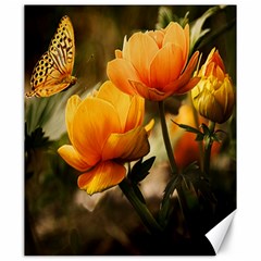 Yellow Butterfly Flower Canvas 20  X 24 