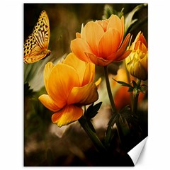 Yellow Butterfly Flower Canvas 36  X 48  by artworkshop