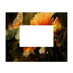 Yellow Butterfly Flower White Tabletop Photo Frame 4 x6  by artworkshop