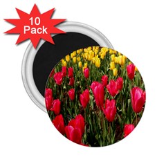 Yellow Pink Red Flowers 2 25  Magnets (10 Pack) 