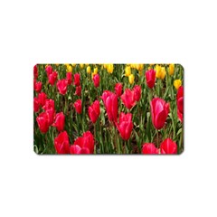 Yellow Pink Red Flowers Magnet (name Card) by artworkshop