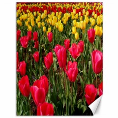 Yellow Pink Red Flowers Canvas 36  X 48  by artworkshop