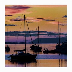 Twilight Over Ushuaia Port Medium Glasses Cloth by dflcprintsclothing