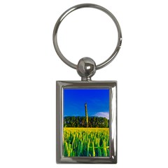 Different Grain Growth Field Key Chain (rectangle) by Ravend