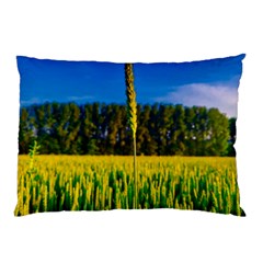 Different Grain Growth Field Pillow Case (two Sides)