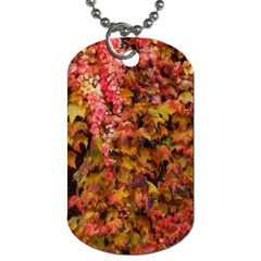 Red And Yellow Ivy  Dog Tag (one Side) by okhismakingart