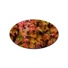 Red And Yellow Ivy  Sticker Oval (10 Pack) by okhismakingart