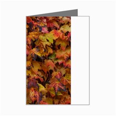 Red And Yellow Ivy  Mini Greeting Card by okhismakingart
