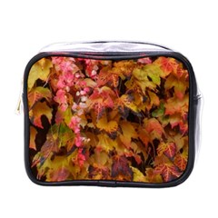 Red And Yellow Ivy  Mini Toiletries Bag (one Side) by okhismakingart