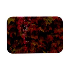 Red And Yellow Ivy  Open Lid Metal Box (silver)   by okhismakingart