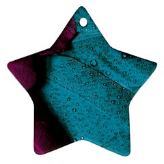 Plumage Ornament (star) by nateshop