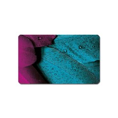 Plumage Magnet (name Card) by nateshop