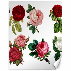 Roses-white Canvas 12  X 16  by nateshop