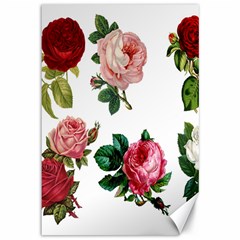 Roses-white Canvas 12  X 18  by nateshop