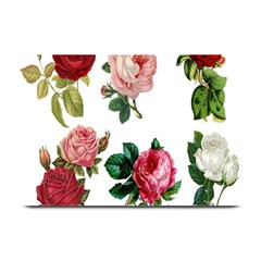Roses-white Plate Mats by nateshop