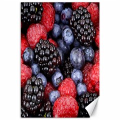 Berries-01 Canvas 12  X 18 