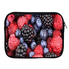 Berries-01 Apple Ipad 2/3/4 Zipper Cases by nateshop