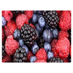 Berries-01 Two Sides Premium Plush Fleece Blanket (Extra Small)