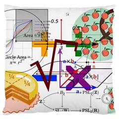 Mathematics Formula Physics School Standard Premium Plush Fleece Cushion Case (two Sides)