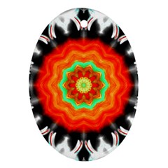 Abstract-kaleidoscope-colored Oval Ornament (two Sides) by Bedest