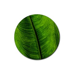 Green-leaf-plant-freshness-color Rubber Round Coaster (4 Pack) by Bedest