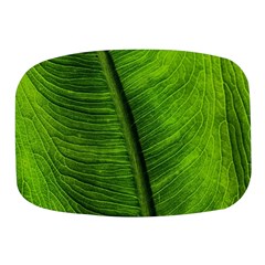 Green-leaf-plant-freshness-color Mini Square Pill Box by Bedest