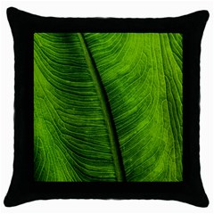 Green-leaf-plant-freshness-color Throw Pillow Case (black)