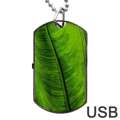 Green-leaf-plant-freshness-color Dog Tag Usb Flash (two Sides)