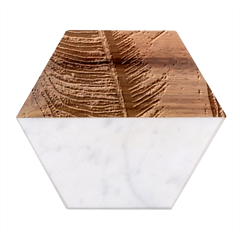 Green-leaf-plant-freshness-color Marble Wood Coaster (hexagon) 
