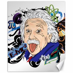 Albert Einstein Physicist Canvas 16  X 20 