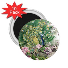 Peafowl Peacock Feather-beautiful 2 25  Magnets (10 Pack) 