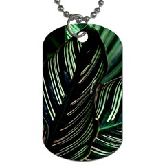 Calathea Leaves Strippe Line Dog Tag (Two Sides)