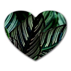 Calathea Leaves Strippe Line Heart Mousepad by Ravend